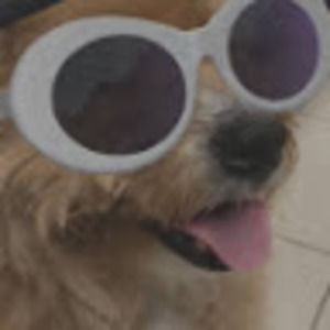 Meet your Posher, Natasha